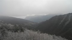 2012年“金佛山之行”